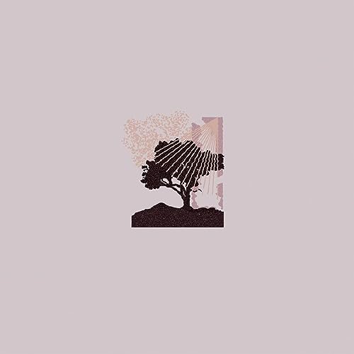 LAND OF TALK - PERFORMANCES (ECOMIX VINYL)