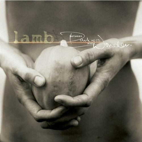 LAMB - BETWEEN DARKNESS AND WONDER