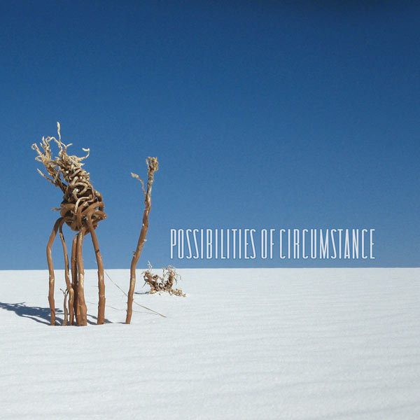 VARIOUS  - POSSIBILITIES OF CIRCUMSTANCE