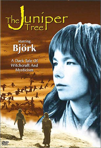 JUNIPER TREE (FULL SCREEN)
