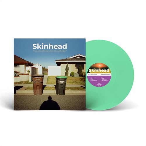 IT'S A BEAUTIFUL DAY, WHAT A BEAUTIFUL DAY (VINYL)