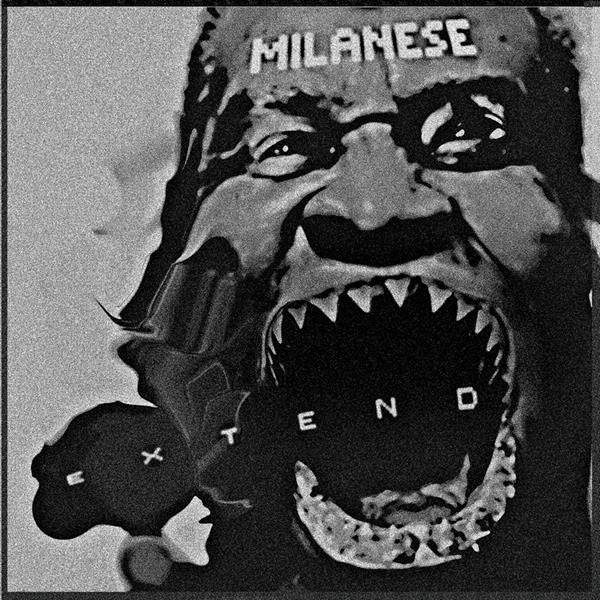 MILANESE - EXTEND