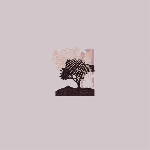 LAND OF TALK - PERFORMANCES (CD)