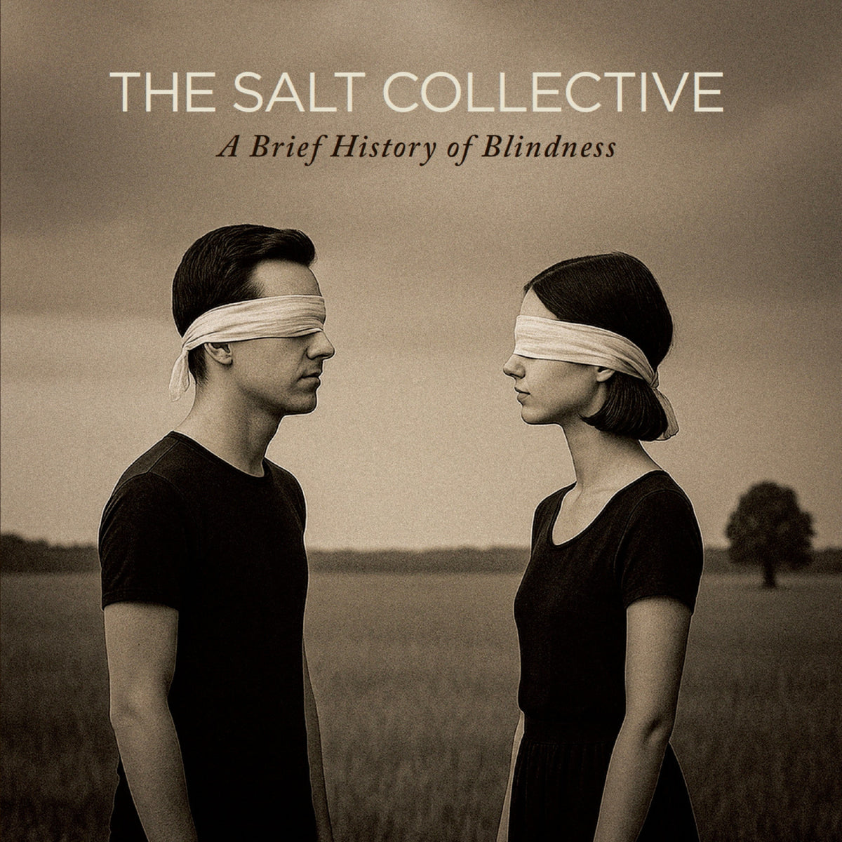 SALT COLLECTIVE, THE - A BRIEF HISTORY OF BLINDNESS