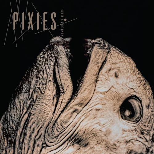 PIXIES - COMPLETE B SIDES: 1988-97 (VINYL)