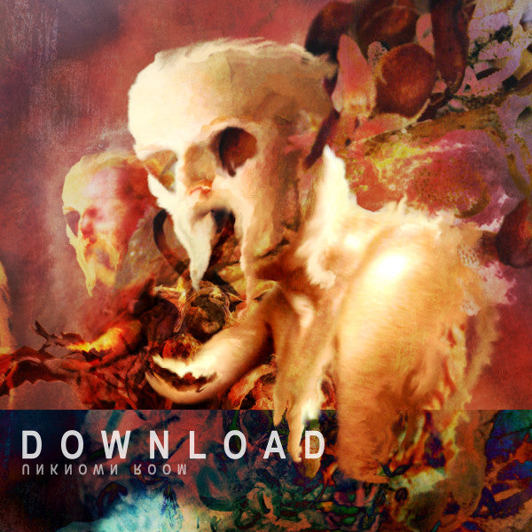 DOWNLOAD  - UNKNOWN ROOM