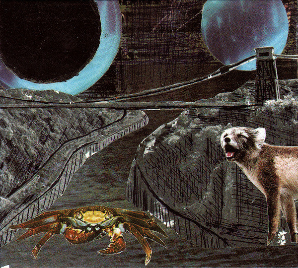 DEERHOOF  - GREEN COSMOS