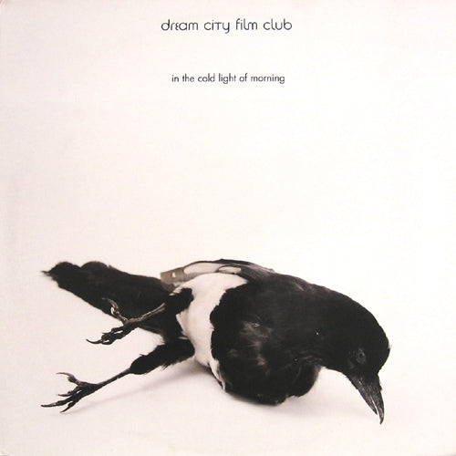 DREAM CITY FILM CLUB  - IN THE COLD LIGHT OF MORNING