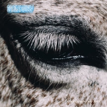 SMAG P├Ñ DIG SELV - THIS IS WHY WE LOST [CD]
