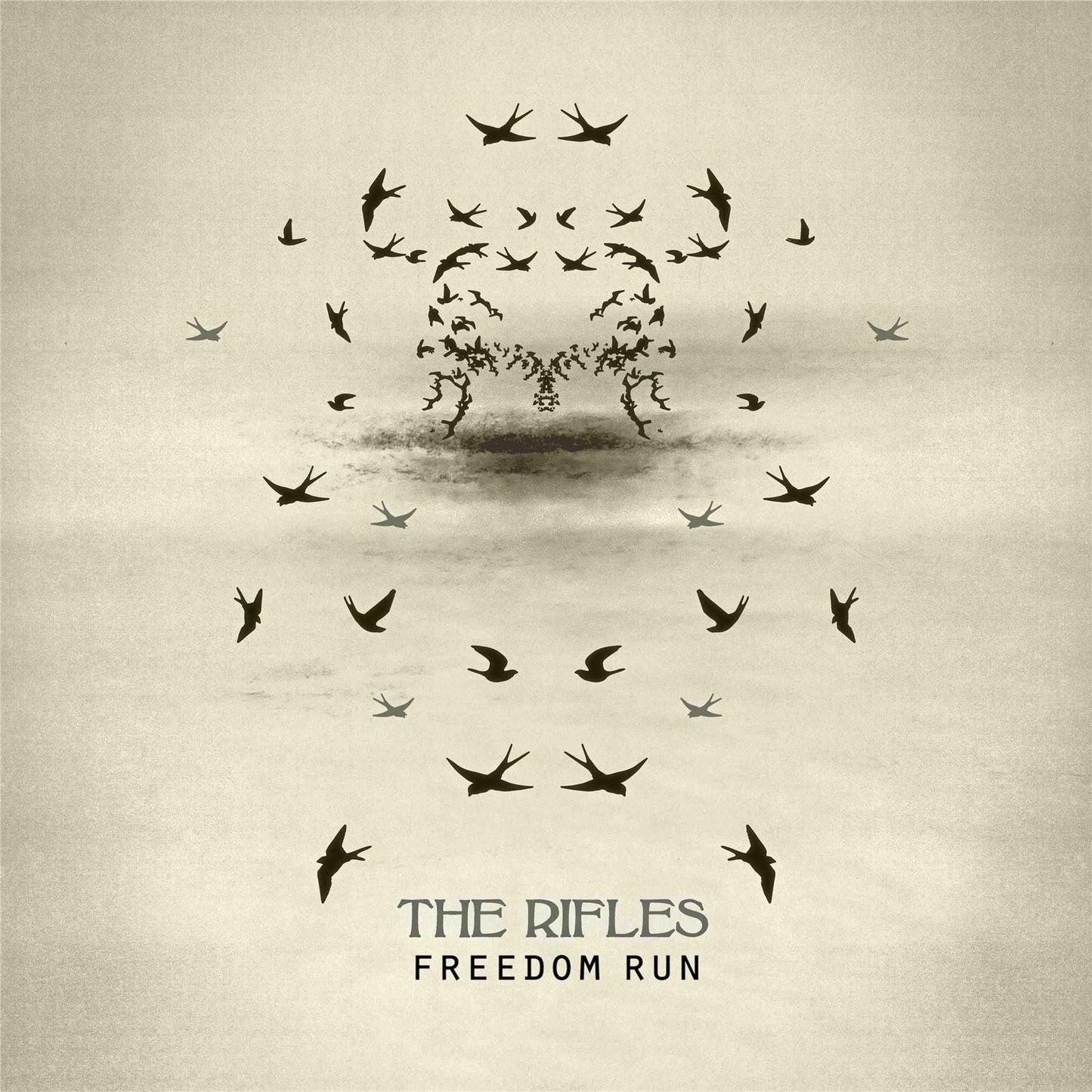 RIFLES  - FREEDOM RUN