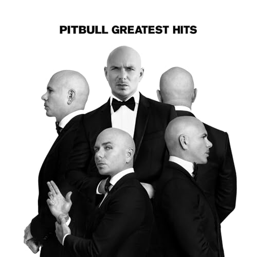 PITBULL - GREATEST HITS (VINYL)