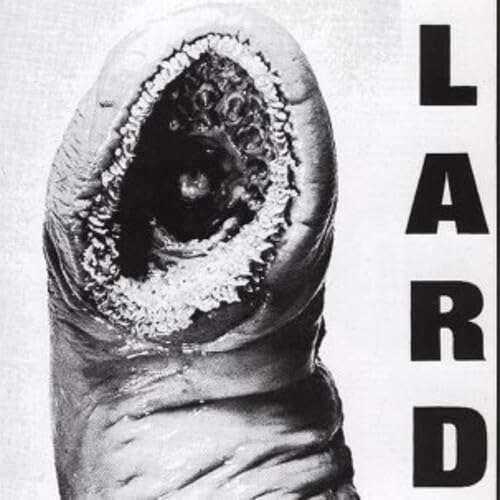 LARD - POWER OF LARD (CD)