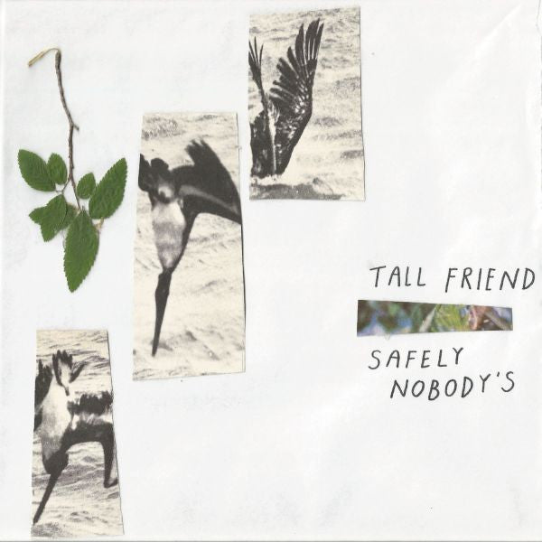 TALL FRIEND - SAFELY NOBODY'S