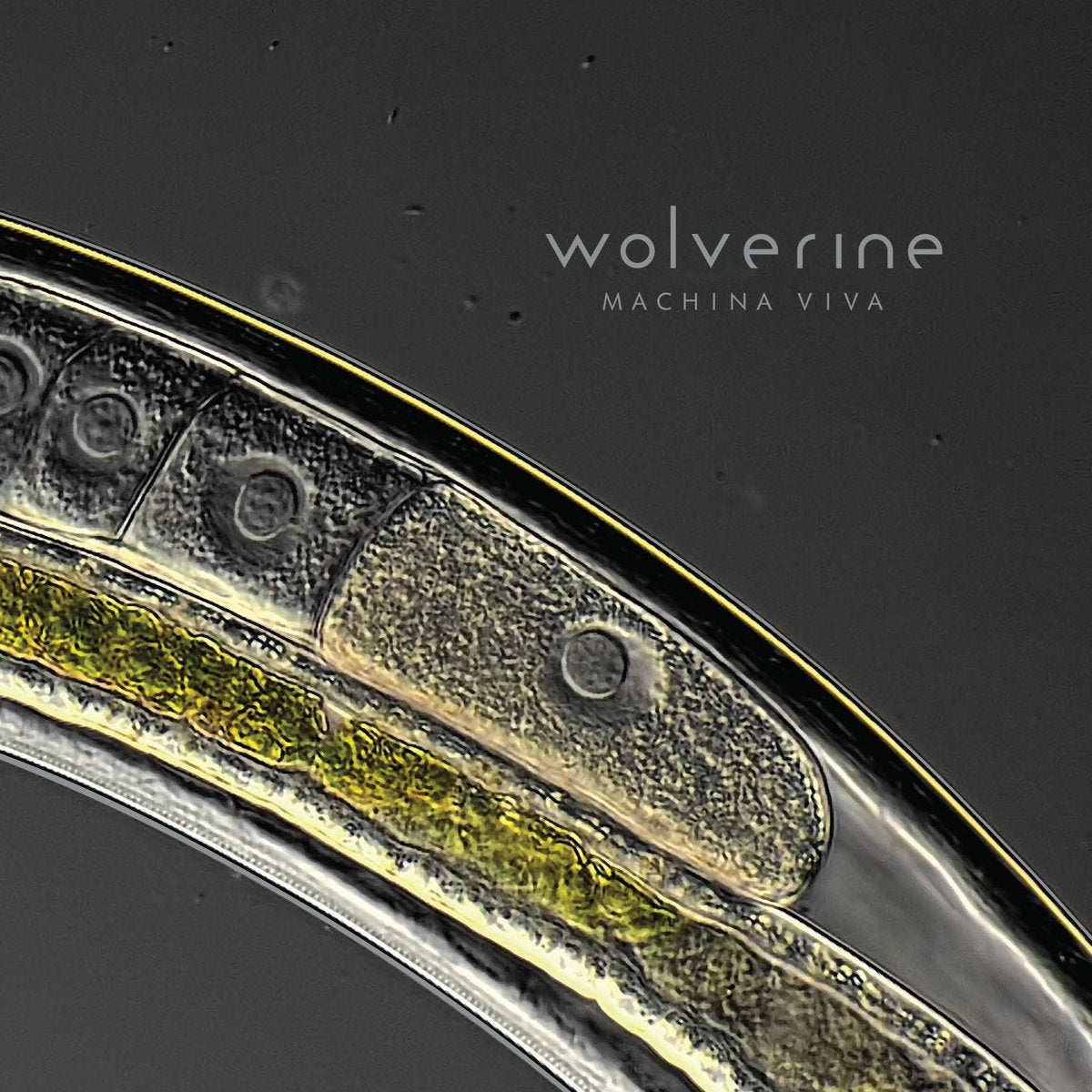 WOLVERINE  - MACHINA VIVA