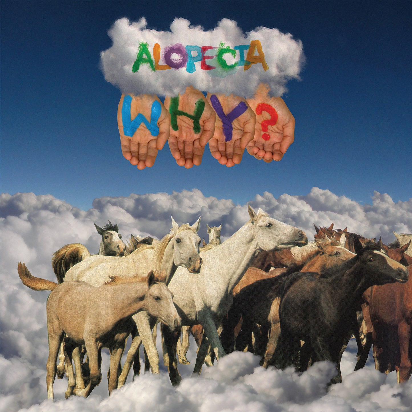 WHY?  - ALOPECIA