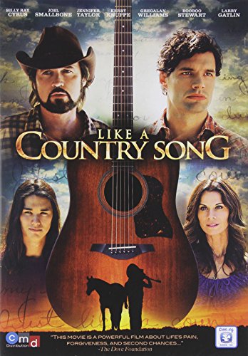 LIKE A COUNTRY SONG