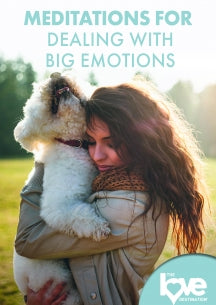 THE LOVE DESTINATION COURSES: MEDITATIONS FOR DEALING WITH BIG EMOTIONS [DVD]