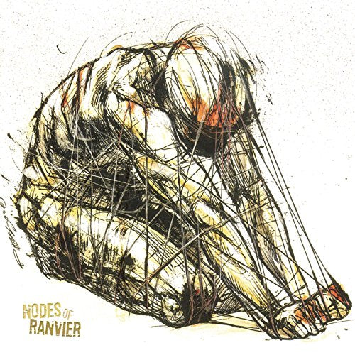 NODES OF RANVIER  - ST