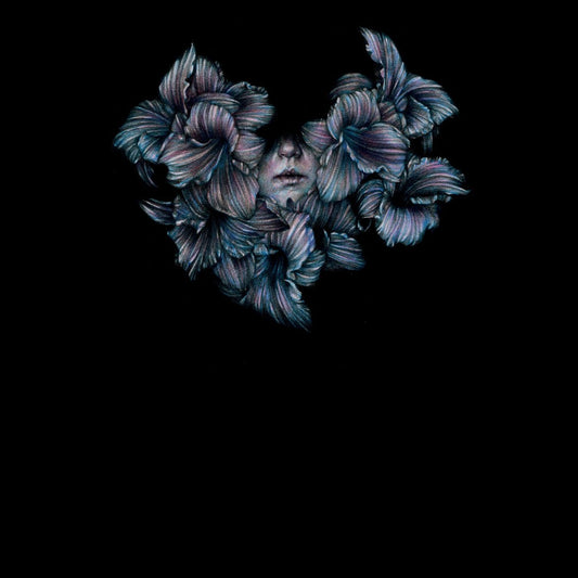 A LOT LIKE BIRDS  - DIVISI