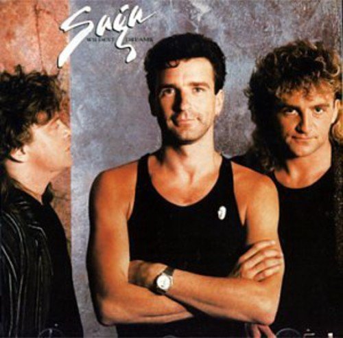 SAGA  - WILDEST DREAMS