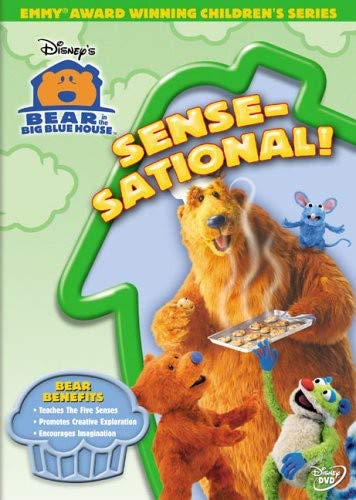 BEAR IN THE BIG BLUE HOUSE  - DVD-SENSE-SATIONAL!