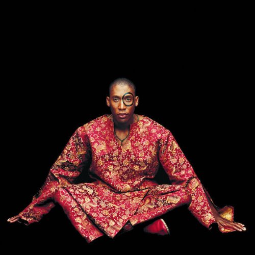 SAADIQ, RAPHAEL - INSTANT VINTAGE