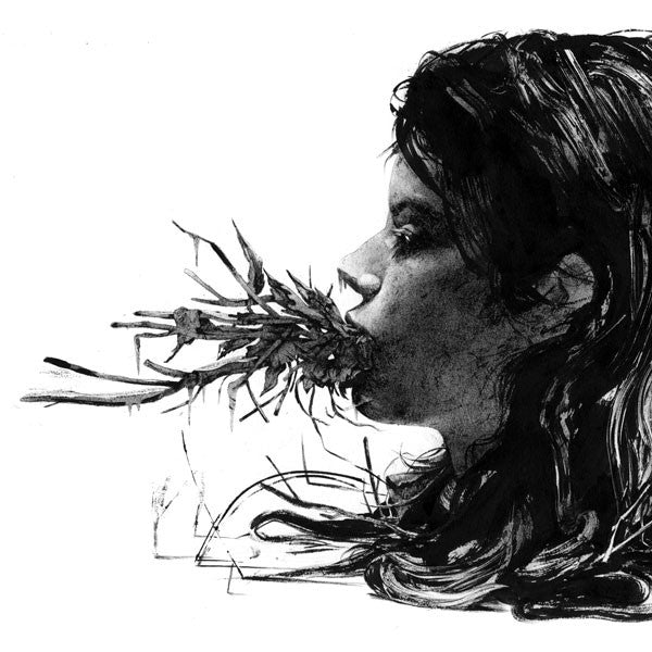 PARENTHETICAL GIRLS  - ENTANGLEMENTS