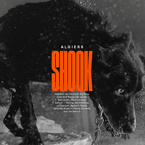 SHOOK (CD)