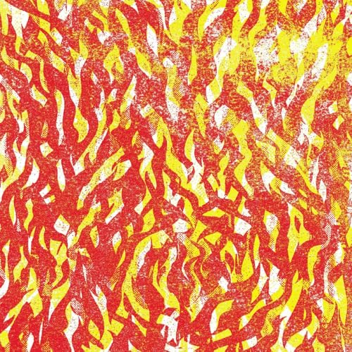 THE BUG - FIRE (VINYL)