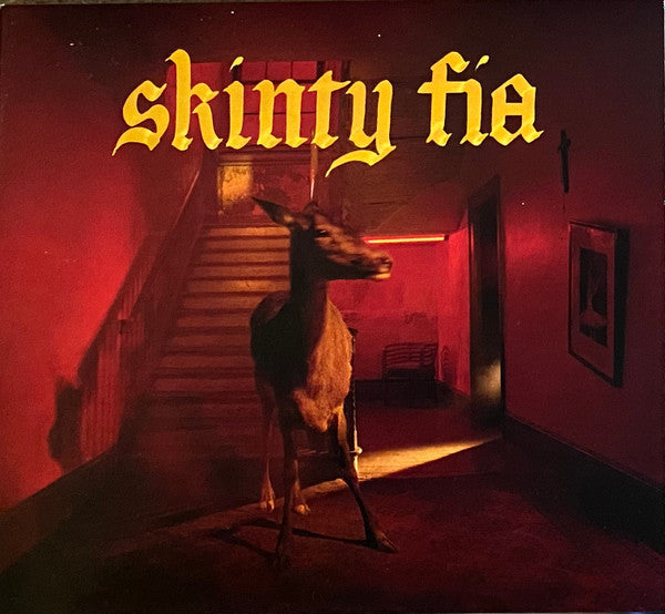 FONTAINES D.C.  - SKINTY FIA