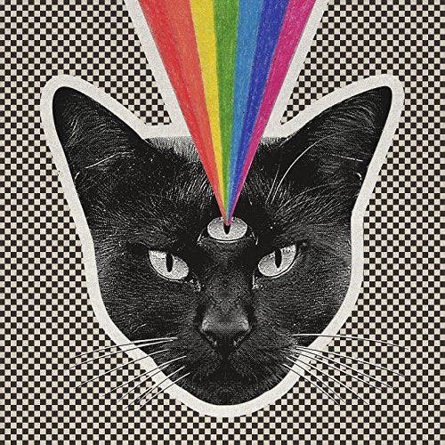 NEVER SHOUT NEVER - BLACK CAT