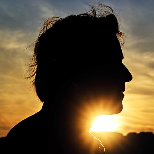 THOMAS DUTRONC - IL N'EST JAMAIS TROP TARD (CD)