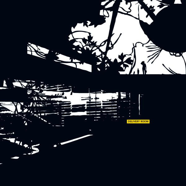 VARIOUS ARTISTS - DELIVERY ROOM