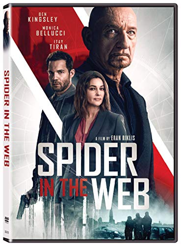 SPIDER IN THE WEB
