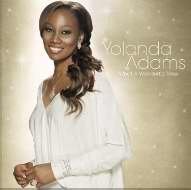 ADAMS, YOLANDA - WHAT A WONDERFUL TIME