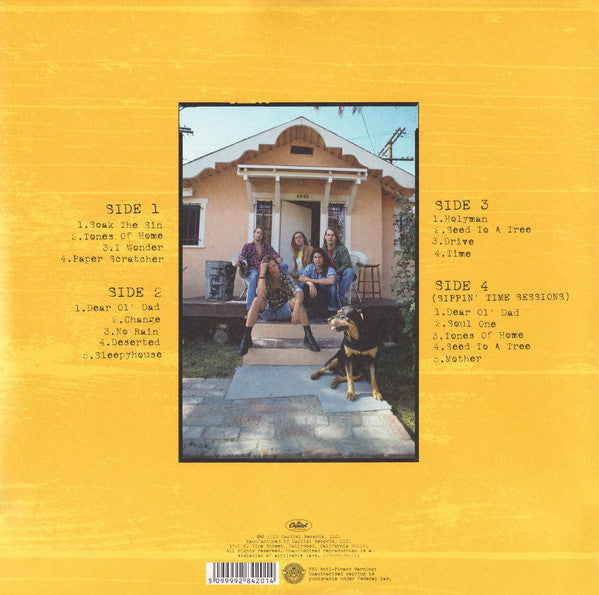 Blind Melon - Blind Melon (20th Anniversary) (Sealed) (Used LP)