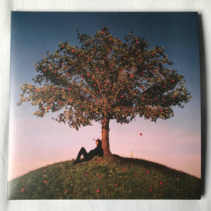 Slowthai - Tyron (Red/Yellow) (Used LP)