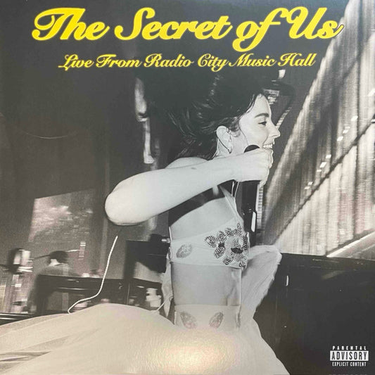 Gracie Abrams - Secret Of Us (Sealed) (Used LP)