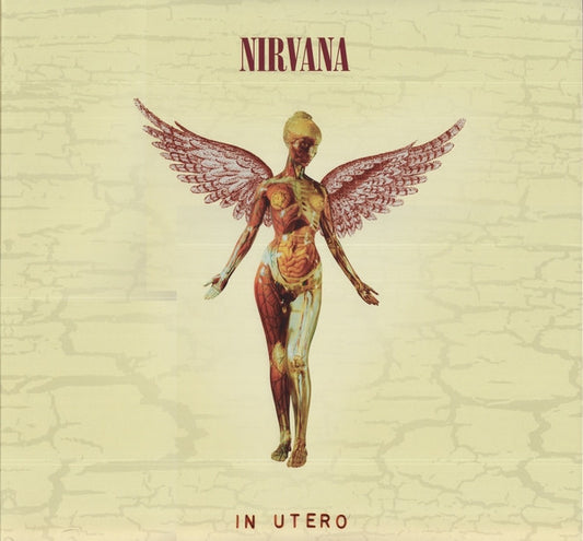 Nirvana - In Utero (20th Anniversary Edition) (Used LP)