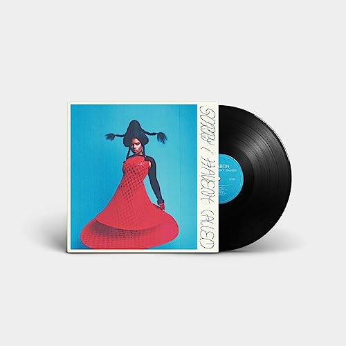 VAGABON - SORRY I HAVEN'T CALLED (VINYL)