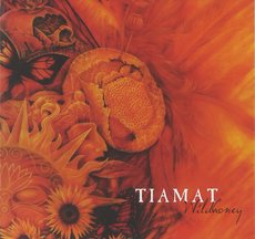 TIAMAT - WILD HONEY (WHITE VINYL) [LP]