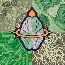 GIANT BRAIN - GRADE A GRAY DAY [CD]