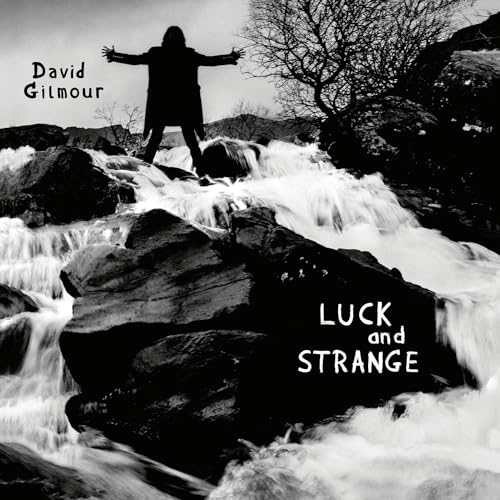 DAVID GILMOUR - LUCK AND STRANGE (VINYL)