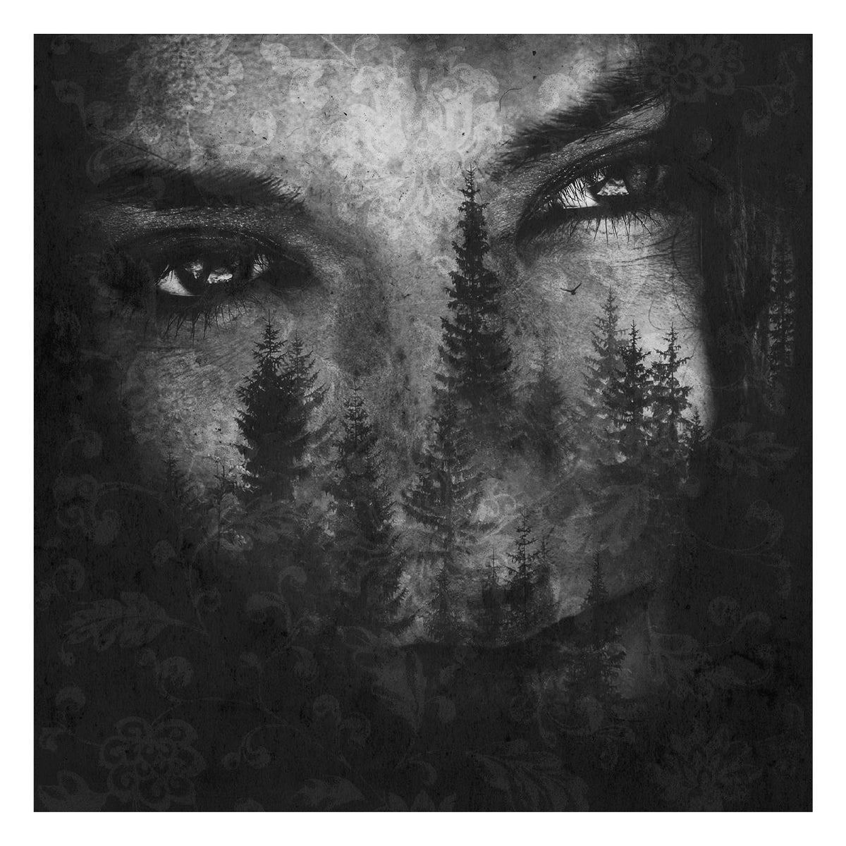 LUSTRE - THE ASHES OF LIGHT