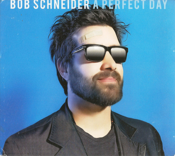 SCHNEIDER, BOB  - A PERFECT DAY