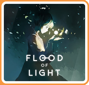 TOWN OF LIGHT  - SWITCH