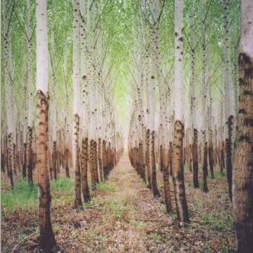 TALKDEMONIC - BEAT ROMANTIC