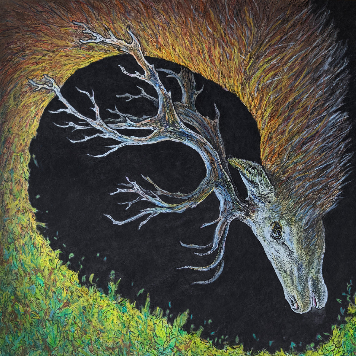 PETRELS - INFANGTHIEF