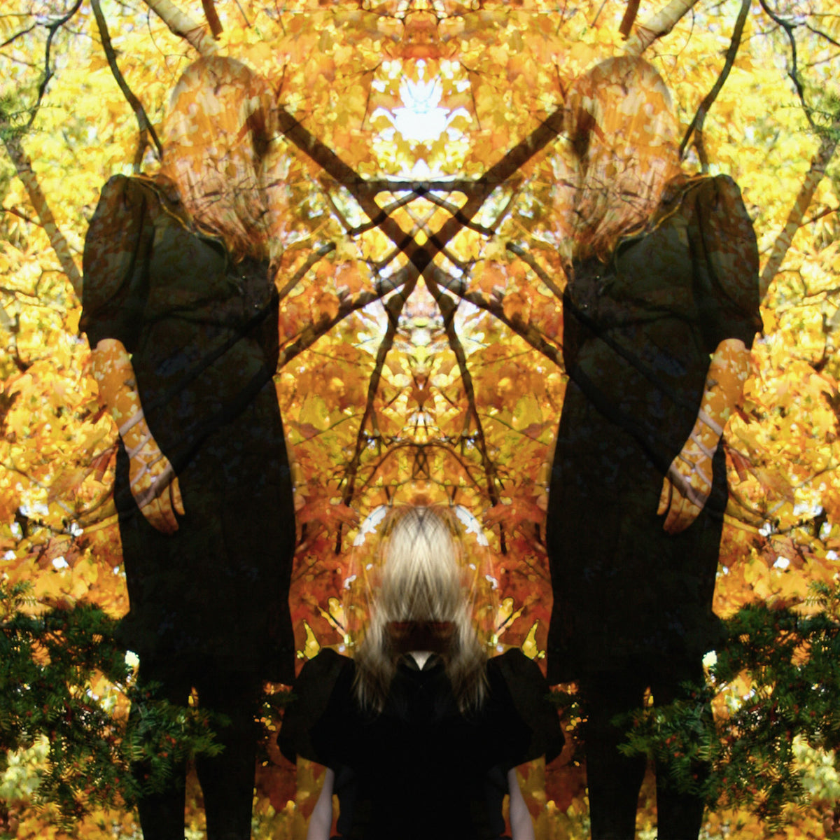 AUSTRA - FEEL IT BREAK