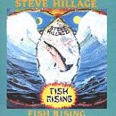 HILLAGE, STEVE - FISH RISING
